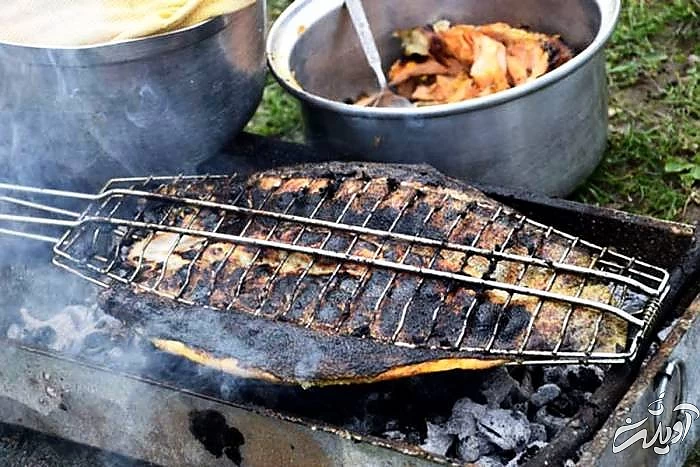 ماهی زغالی قشم از غذاهای لذیذ بندرعباس ماهی زغالی قشم